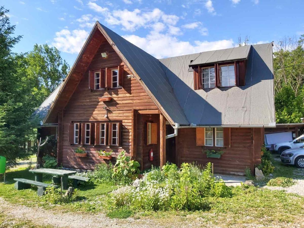 Casa Edelweiss - Gyopar - Flore De Colt Rimetea Extérieur photo