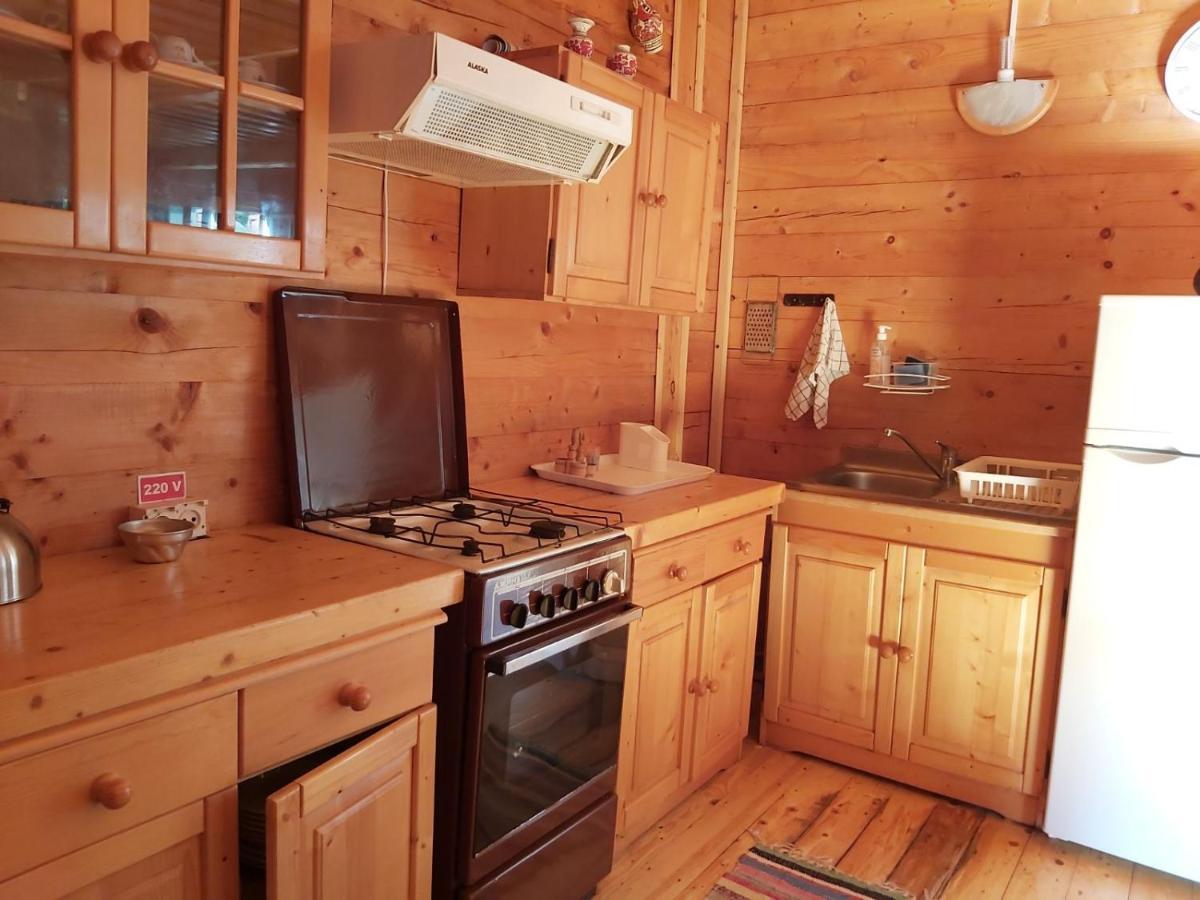 Casa Edelweiss - Gyopar - Flore De Colt Rimetea Extérieur photo