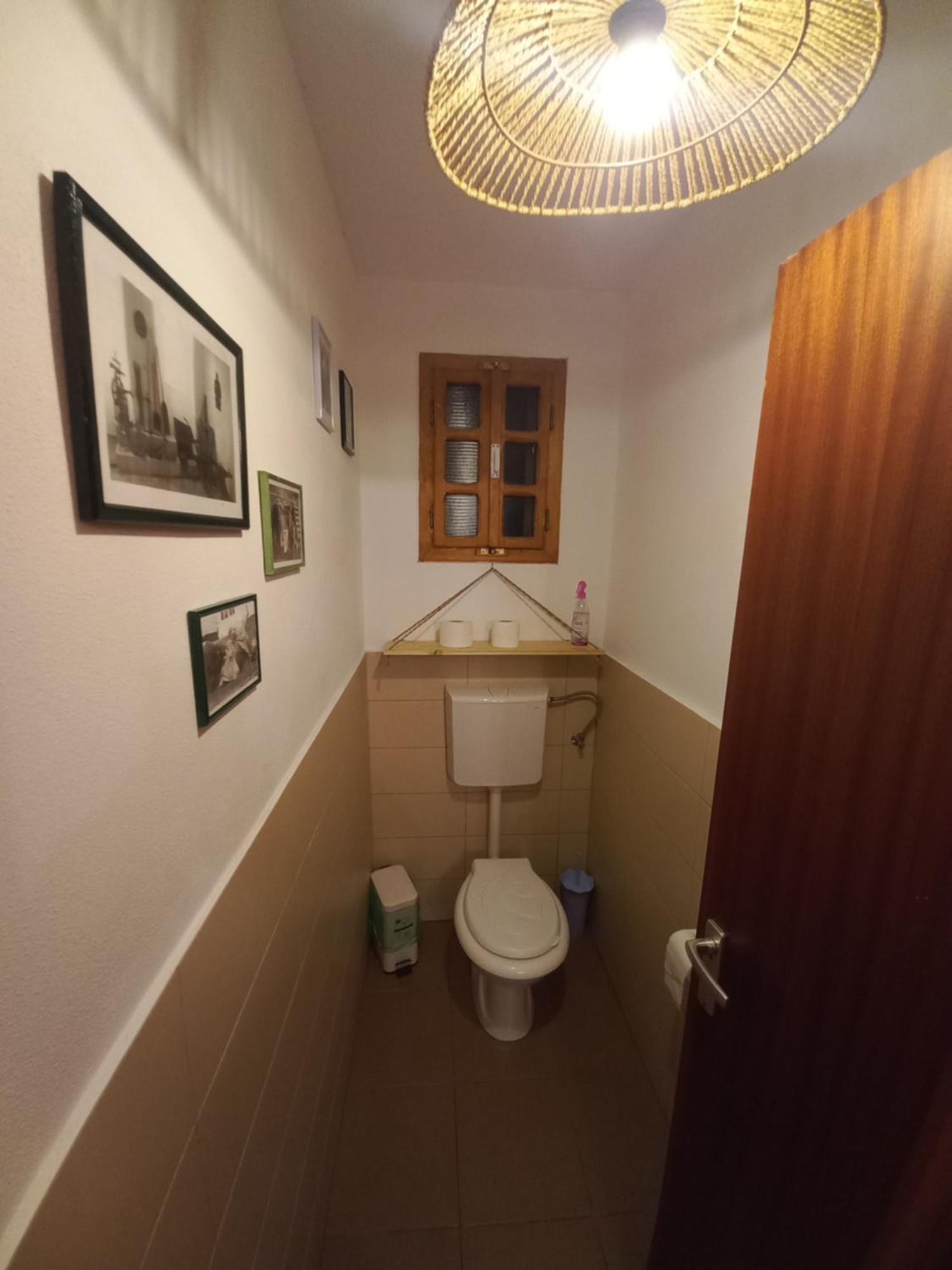 Casa Edelweiss - Gyopar - Flore De Colt Rimetea Extérieur photo